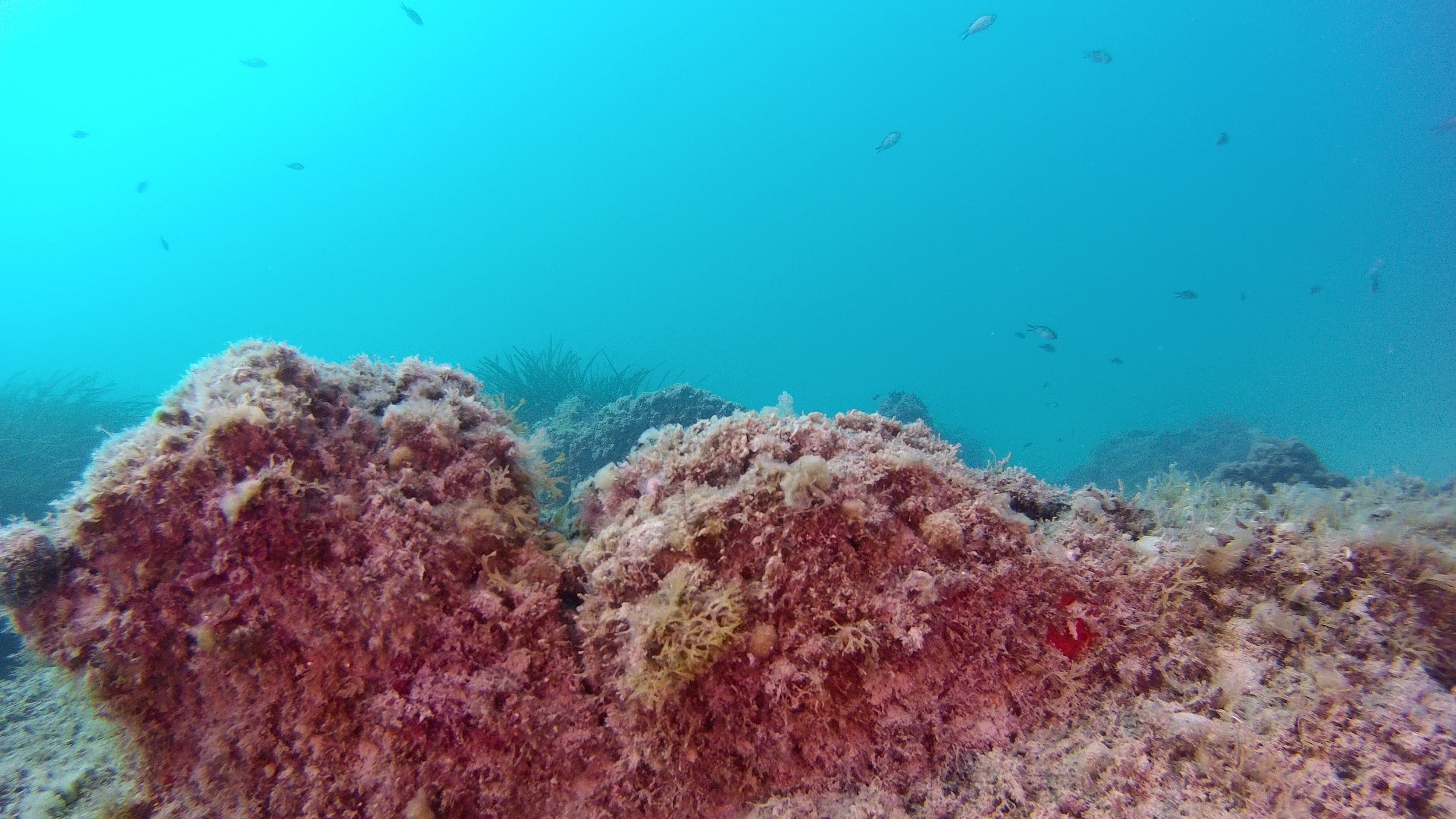 Illustration: © A.D.E Méditerranée Illustration: © A.D.E Méditerranée