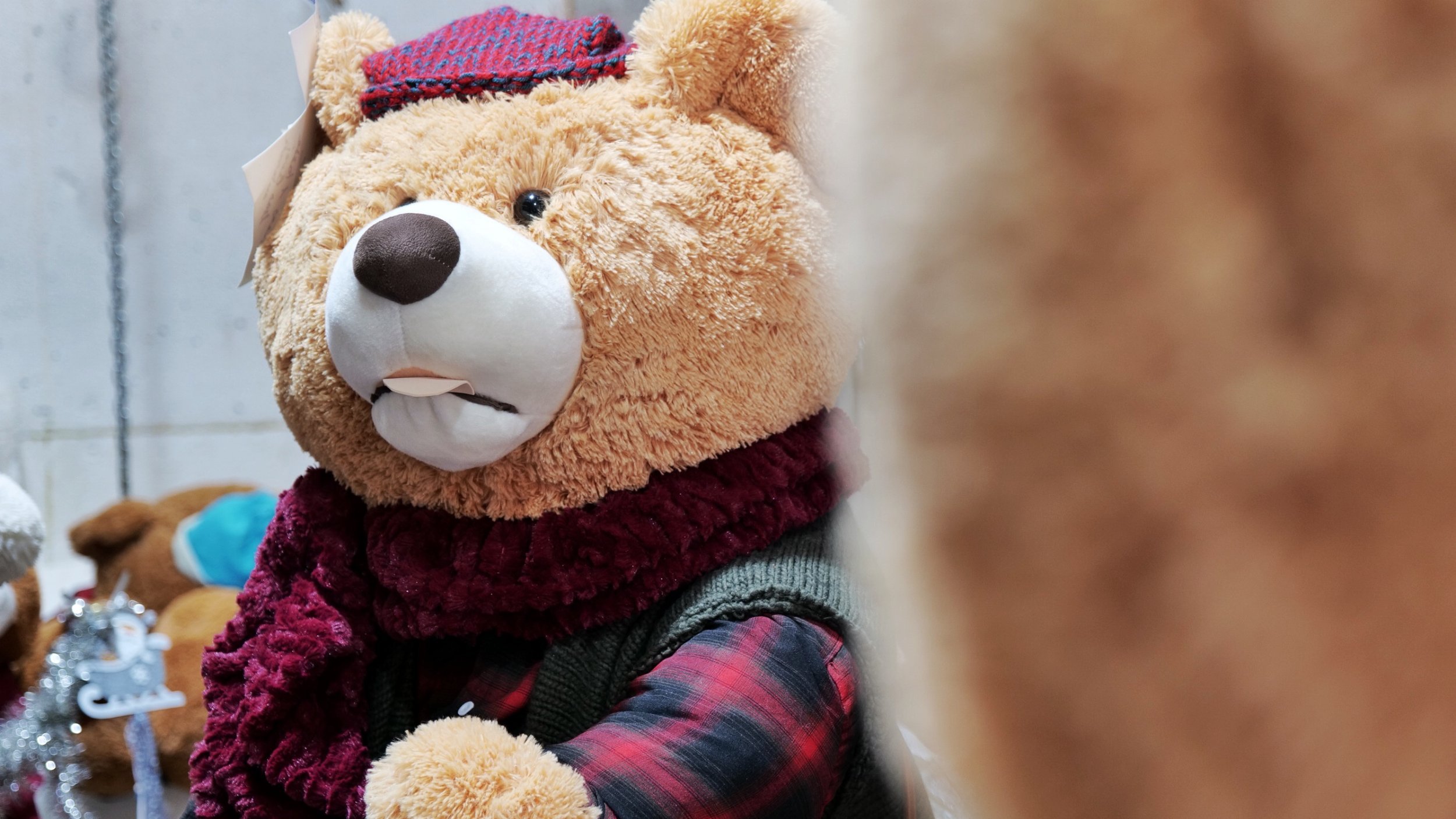 Illustration: ©Ville de Menton Illustration: ©Ville de Menton