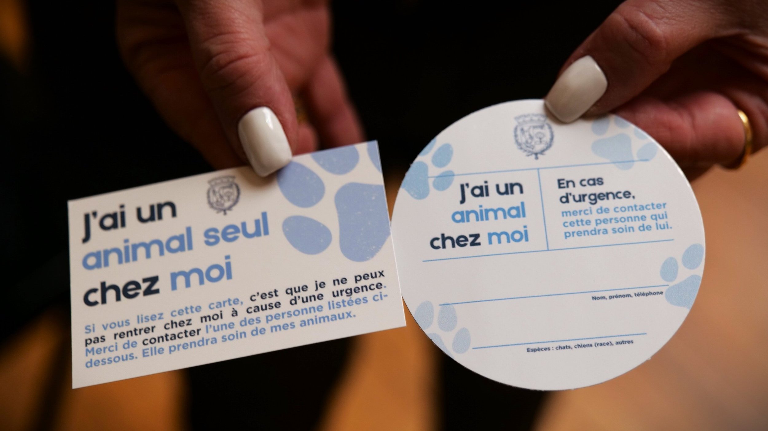 Illustration:  Illustration: