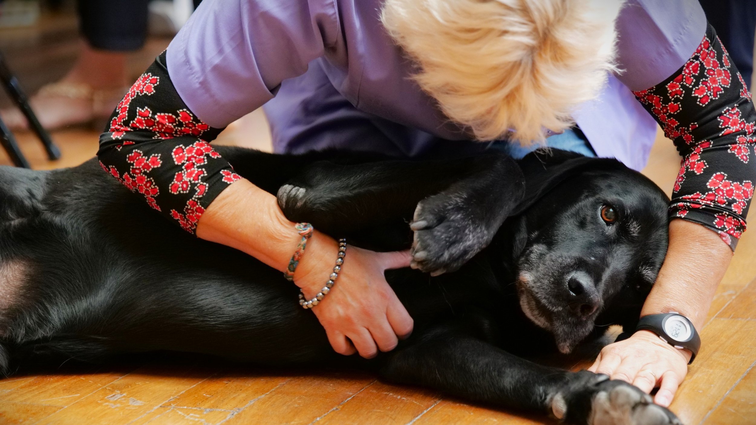 Illustration: ©Ville de Menton Illustration: ©Ville de Menton